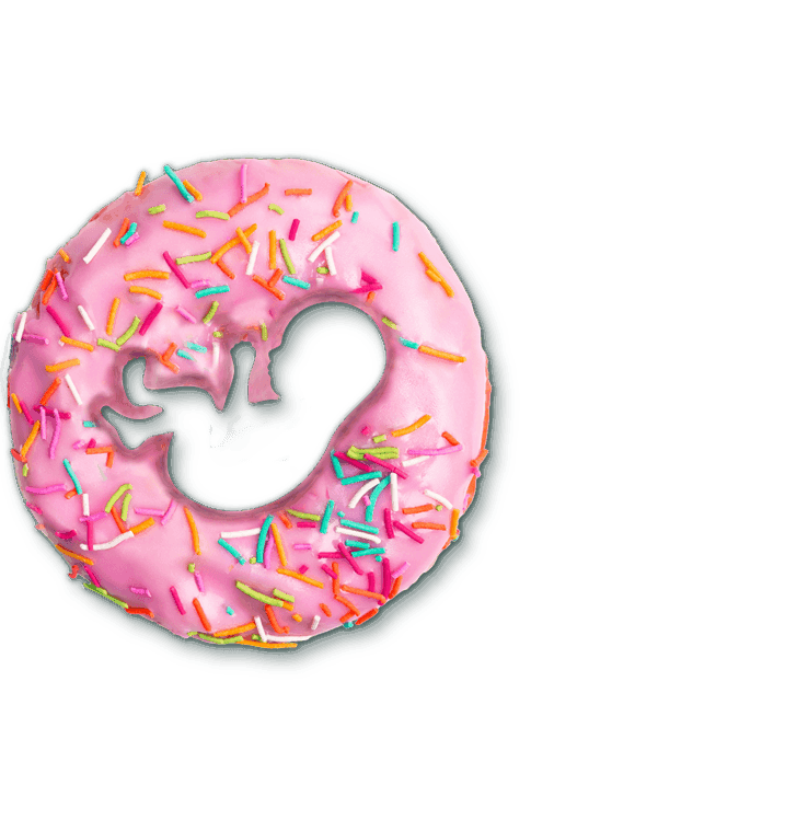 Doughnut ring as a baby 760h