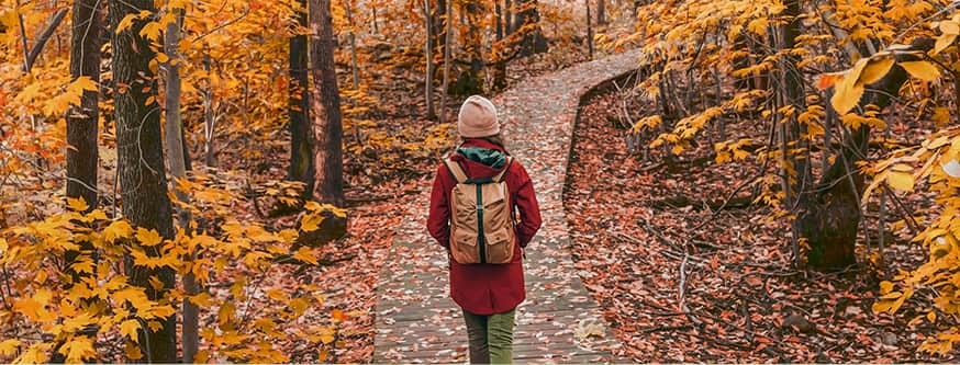 Walking in the woods